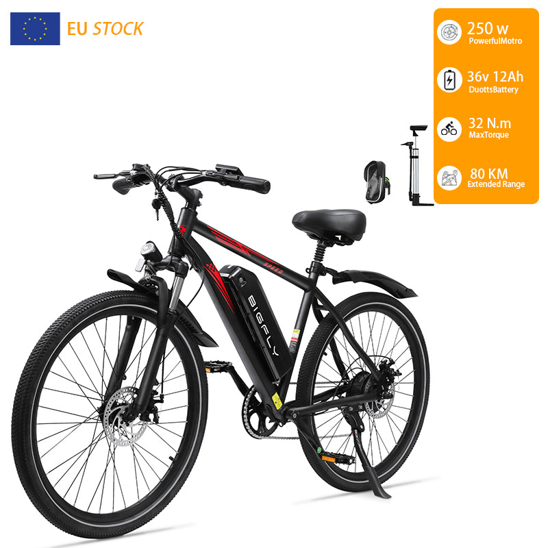 Bigfly BK15 Max 250w Rear Drive Motor 36V 12Ah Battery Mountain Off-Road Electric Bike