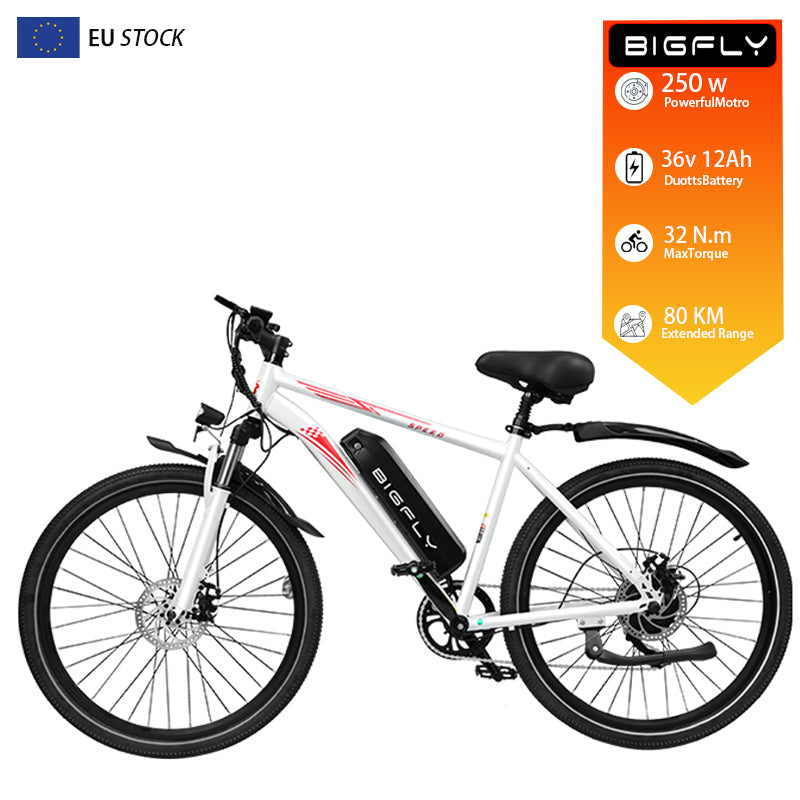 Bigfly BK15 Max 250w Rear Drive Motor 36V 12Ah Battery Mountain Off-Road Electric Bike