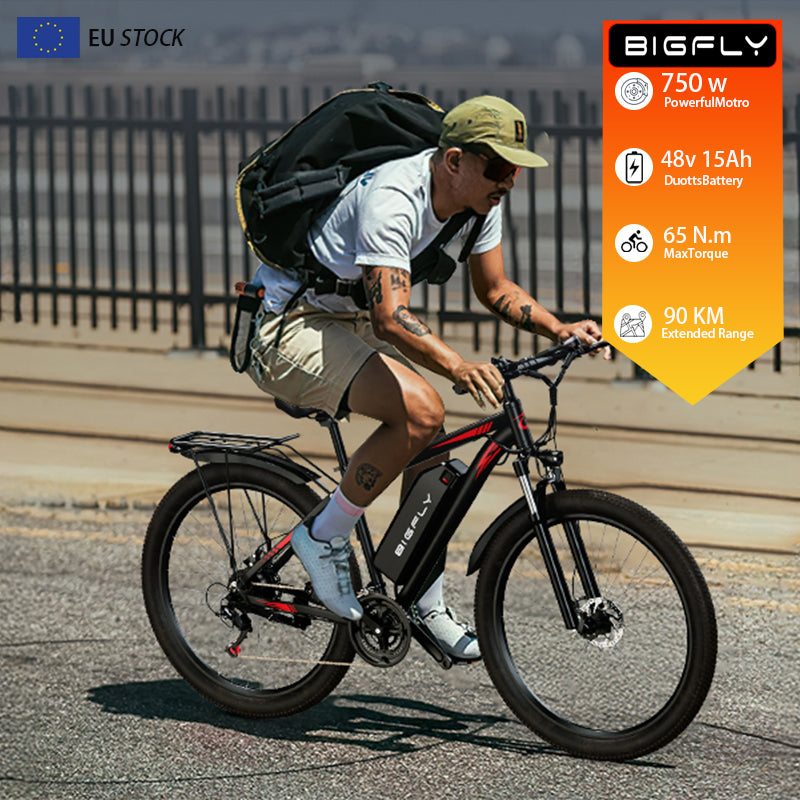 Bigfly C29 Ultra 750w Rear Drive Motor 48V 15Ah Battery Mountain Off-Road Electric Bike
