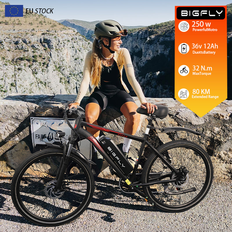 Bigfly BK15 Max 250w Rear Drive Motor 36V 12Ah Battery Mountain Off-Road Electric Bike