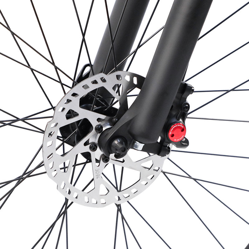 Bigfly C29 Ultra 750w Rear Drive Motor 48V 15Ah Battery Mountain Off-Road Electric Bike