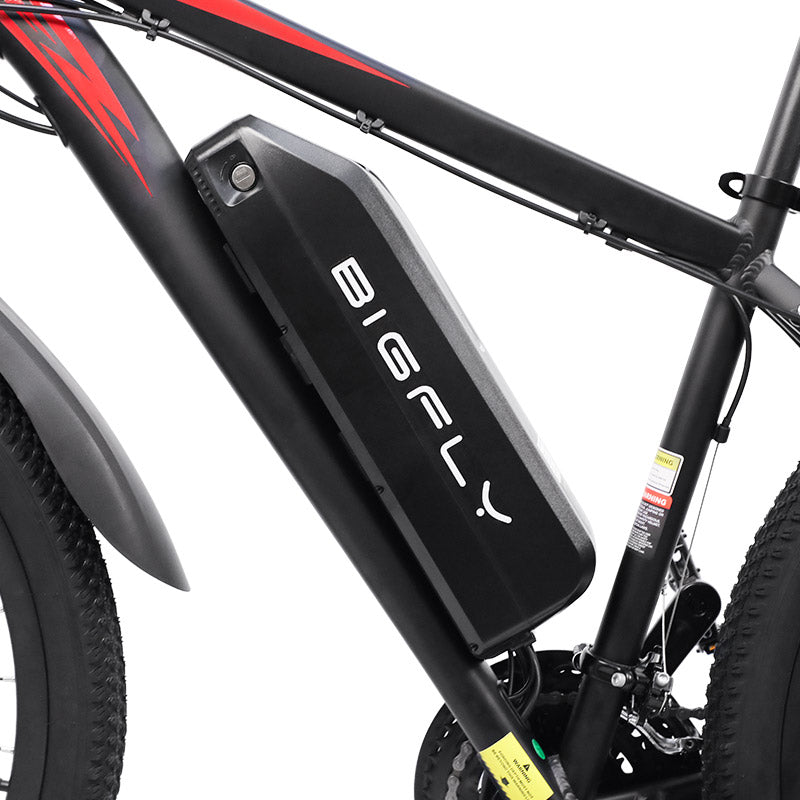 Bigfly C29 Ultra 750w Rear Drive Motor 48V 15Ah Battery Mountain Off-Road Electric Bike