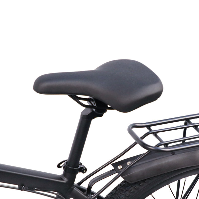 Bigfly C29 Ultra 750w Rear Drive Motor 48V 15Ah Battery Mountain Off-Road Electric Bike
