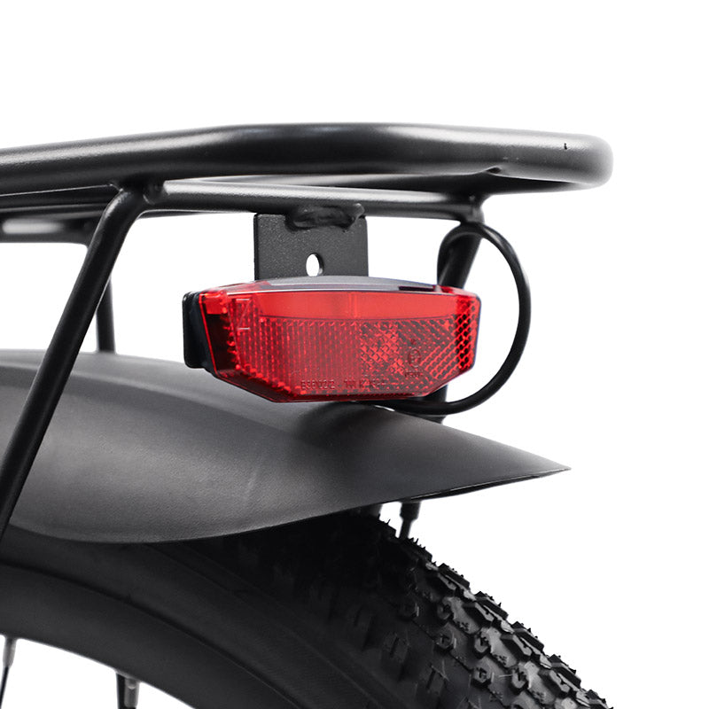 Bigfly C29 Ultra 750w Rear Drive Motor 48V 15Ah Battery Mountain Off-Road Electric Bike
