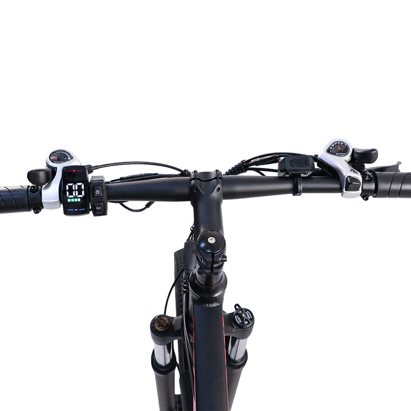 Bigfly C29 Ultra 750w Rear Drive Motor 48V 15Ah Battery Mountain Off-Road Electric Bike
