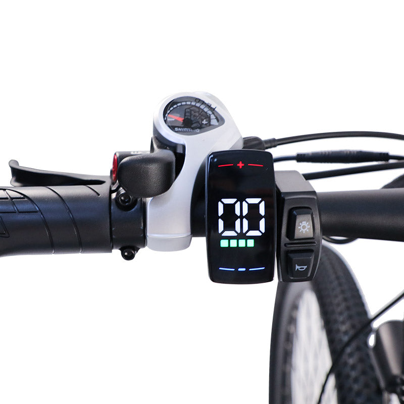 Bigfly C29 Ultra 750w Rear Drive Motor 48V 15Ah Battery Mountain Off-Road Electric Bike