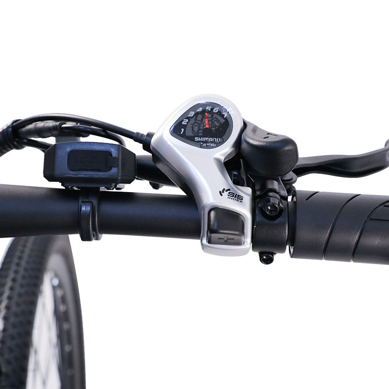 Bigfly C29 Ultra 750w Rear Drive Motor 48V 15Ah Battery Mountain Off-Road Electric Bike