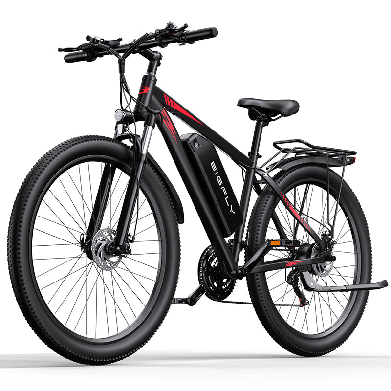 Electric Bike
