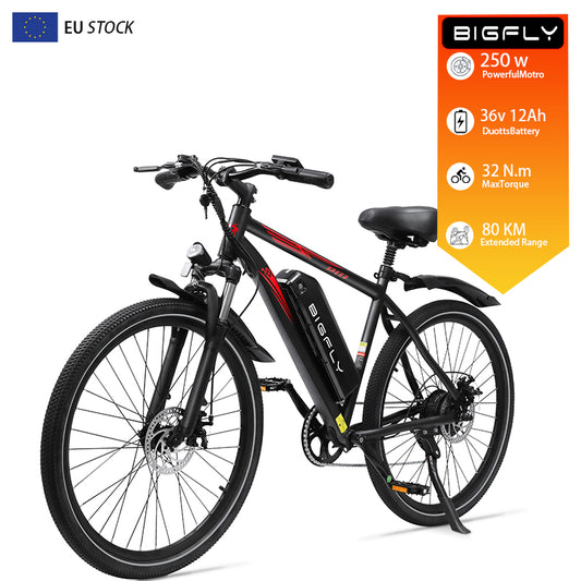 Bigfly BK15 Max 250w Rear Drive Motor 36V 12Ah Battery Mountain Off-Road Electric Bike