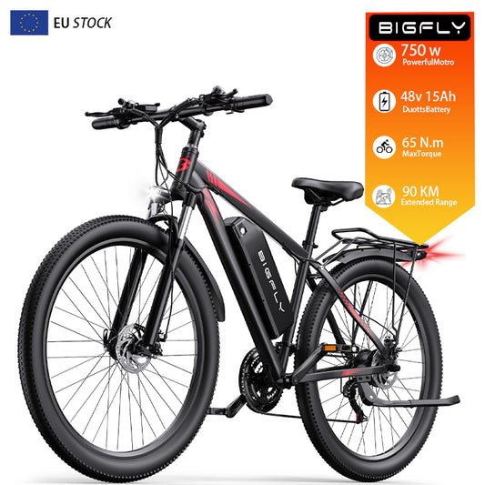 Bigfly C29 Ultra 750w Rear Drive Motor 48V 15Ah Battery Mountain Off-Road Electric Bike