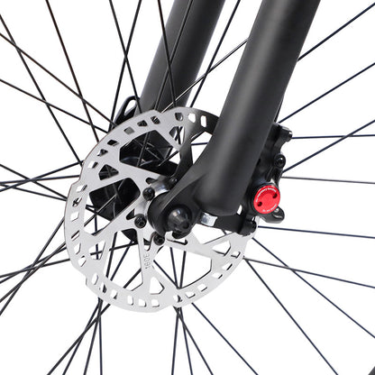 Bigfly C29 Ultra 750w Rear Drive Motor 48V 15Ah Battery Mountain Off-Road Electric Bike