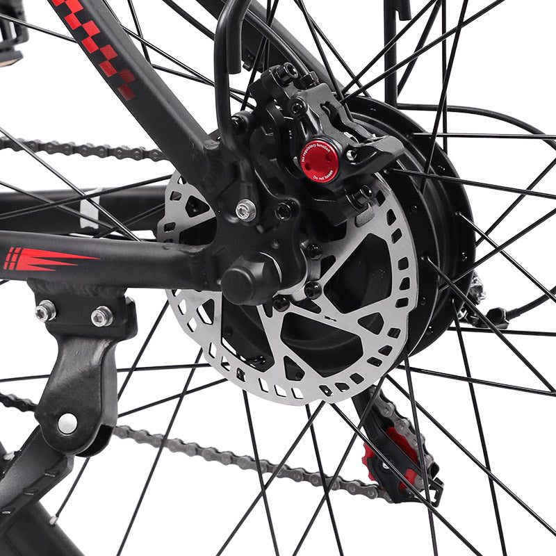 Bigfly C29 Ultra 750w Rear Drive Motor 48V 15Ah Battery Mountain Off-Road Electric Bike