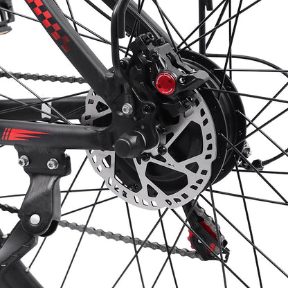 Bigfly C29 Ultra 750w Rear Drive Motor 48V 15Ah Battery Mountain Off-Road Electric Bike