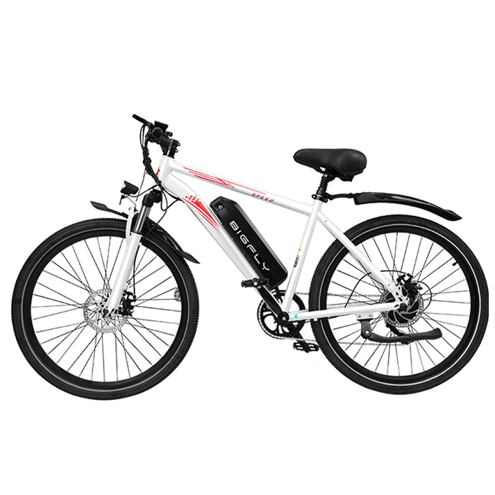 Bigfly BK15 Max 250w Rear Drive Motor 36V 12Ah Battery Mountain Off-Ro ...
