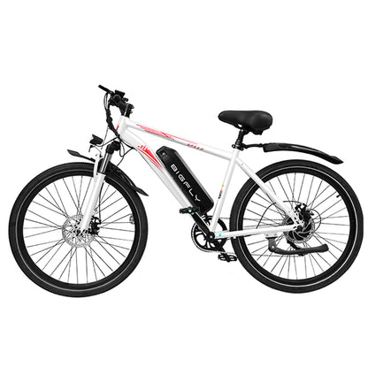 Bigfly BK15 Max 250w Rear Drive Motor 36V 12Ah Battery Mountain Off-Road Electric Bike